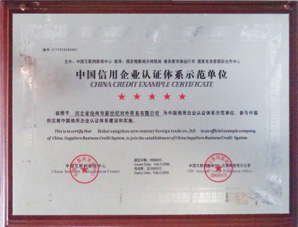 Example Enterprise of China Supplier’s Business Credit System，2008 year